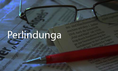 Perlindungan Fisik Dicabut LPSK, Kuasa Hukum Serahkan Keselamatan Bharada E ke Polri